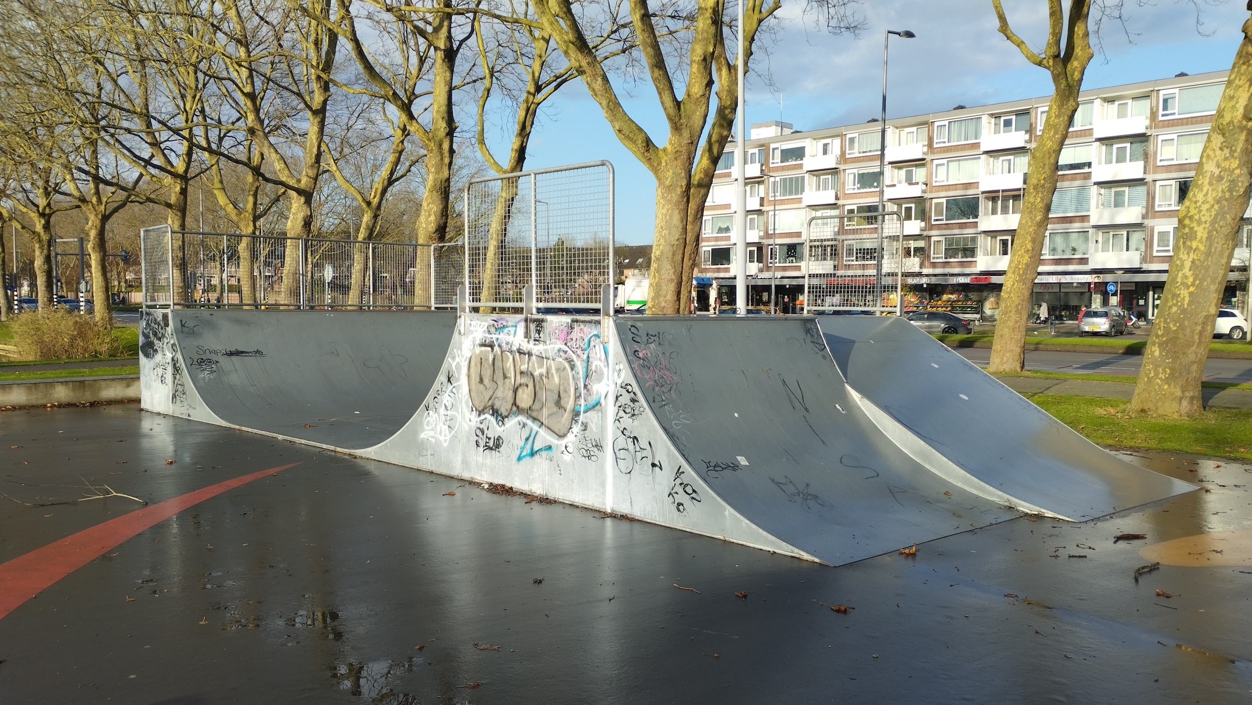 Spinoza park Skatepark